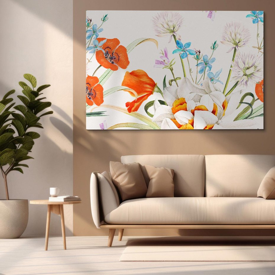 Obraz na płótnie 70x50 - Polne Kwiaty - polne kwiaty, na białym tle