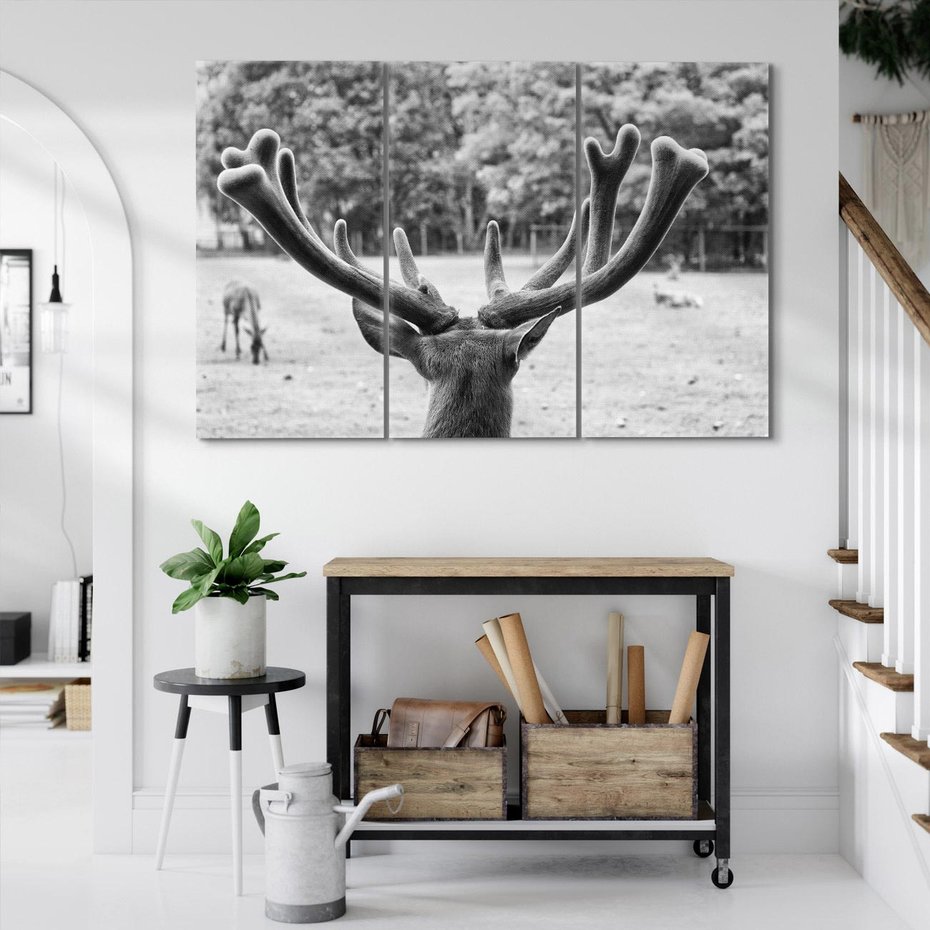 Obraz na płótnie 120x80 - Przygubione motyle marzeń - fotografia czarno biała, młody jeleń w zagrodzie