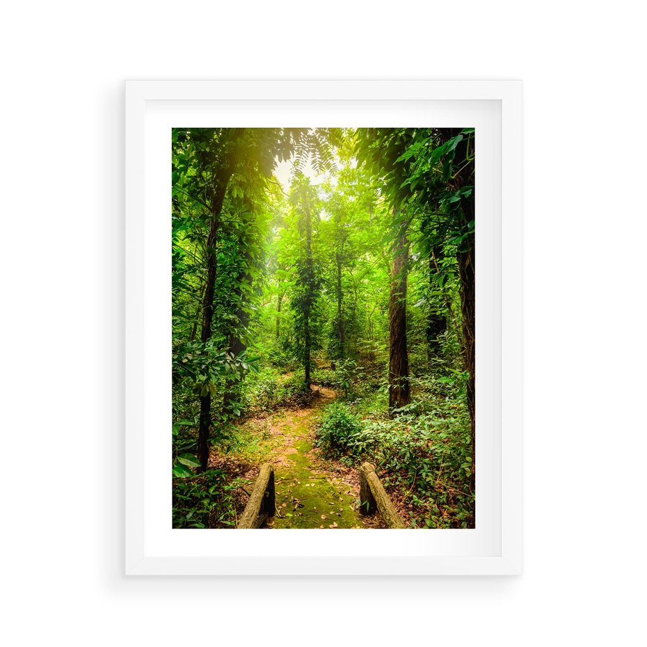 Plakat w ramie 40x50 - Współistnienie z naturą - drzewa, las - rama biała