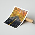 Plakat bez ramy 30x40 - Droga przez jesienny las - droga, las