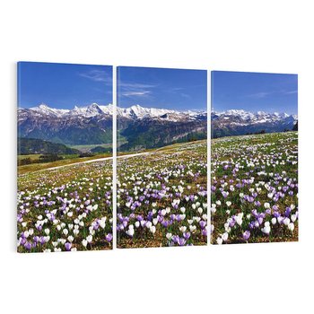 Obraz na płótnie 120x80 - Wiosenne Czarowanie - krokusy, góry