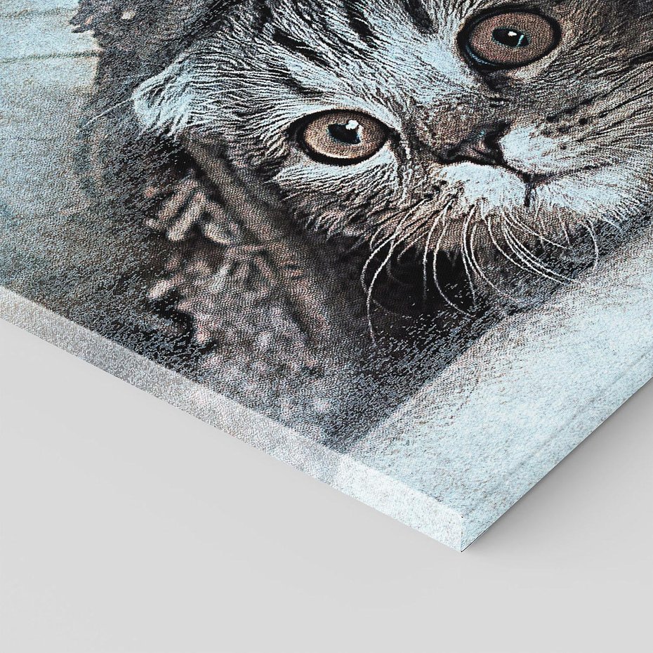 Obraz na płótnie 70x70 - Kot w abstrakcyjnym otoczeniu - kot, sztuka
