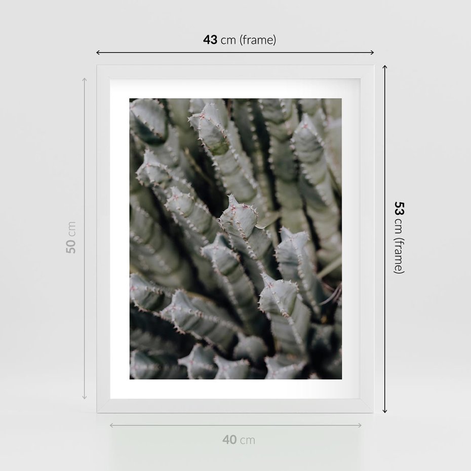 Plakat w ramie 40x50 - Boho kaktusy na pustyni - kaktusy, pustynia - rama biała