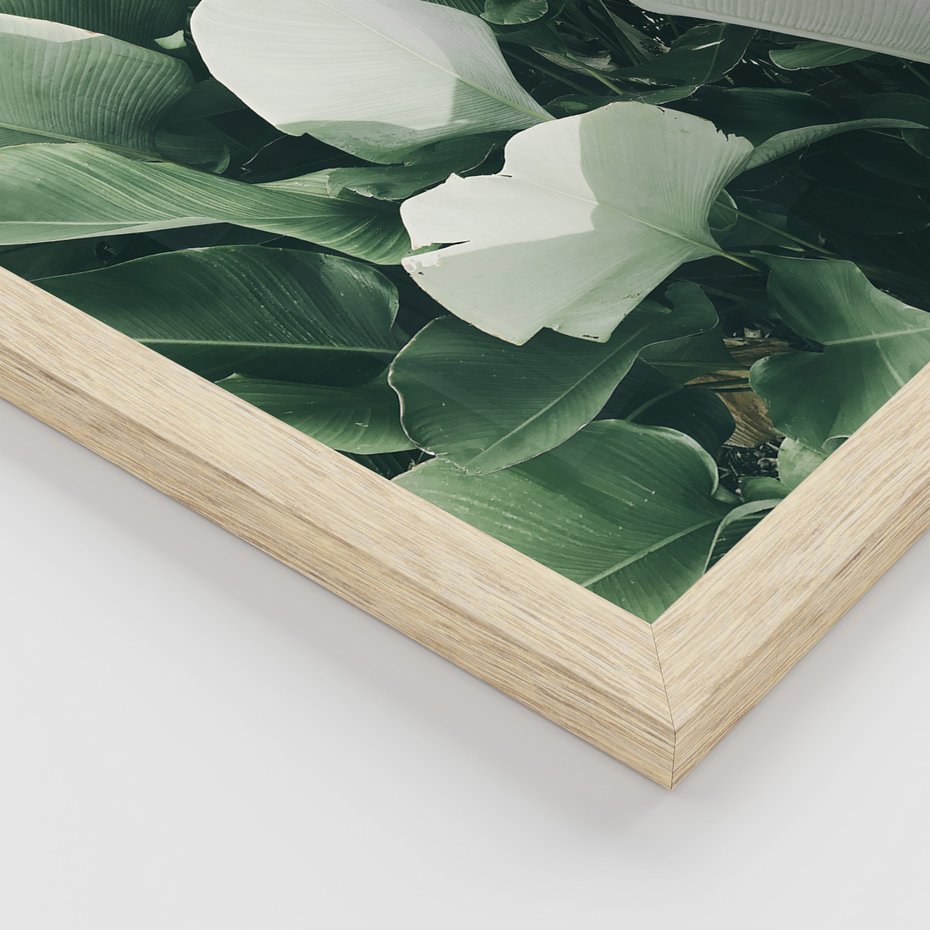 Zestaw obrazy w ramie 40x50 galeria - Liście, palma, monstera - rama drewno