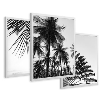 Zestaw obrazy w ramie 50x70 galeria - Palmy, czarno, biały, minimalizm - rama biała