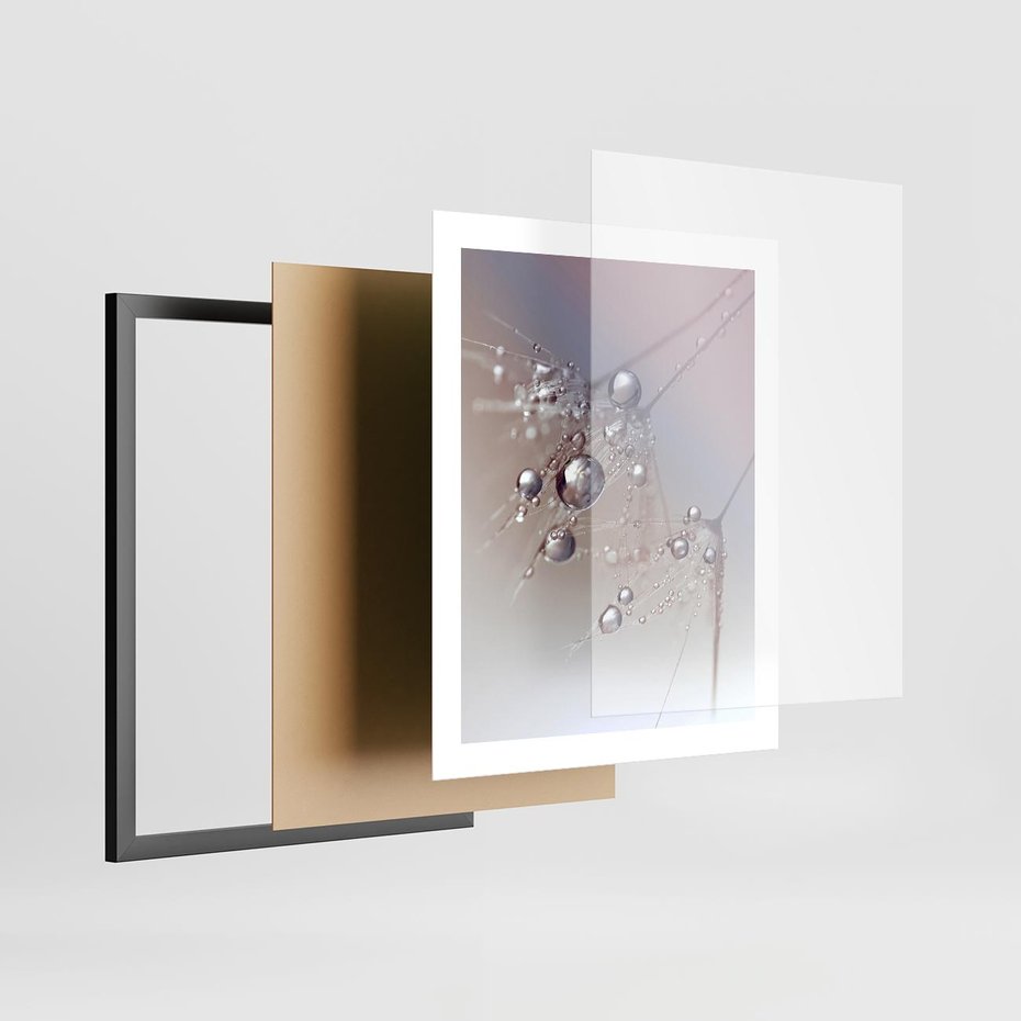Plakat w ramie 40x50 - Delikatne Natchnienie - krople, dmuchawce - rama czarna