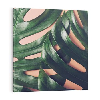 Obraz na płótnie 40x40 - Monstera Liście - monstera, liście