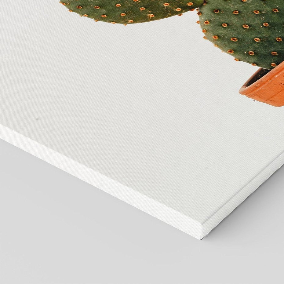 Obraz na płótnie 120x80 - Kwiatowy taniec kaktusa - kaktus, kwiat