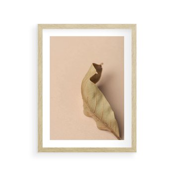 Plakat w ramie 30x40 - Boho suszone liście - suszony, liść - rama drewno