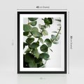 Plakat w ramie 40x50 - Zielone eukaliptusy - eukaliptus, liście - rama czarna
