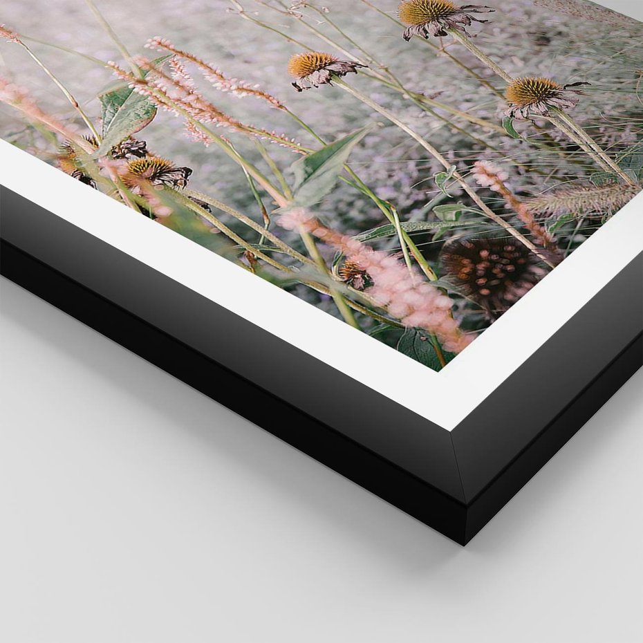 Plakat w ramie 40x50 - Przyroda w Pełnym Blasku: Kolorowa łąka z Kwiatami - łąka, kwiaty na łące - rama czarna