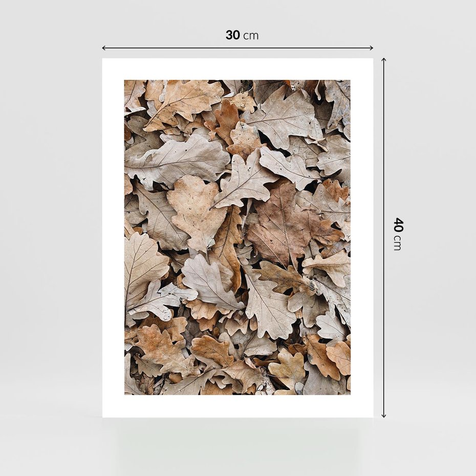 Plakat bez ramy 30x40 - Nostalgiczny Pejzaż - suche liście, jesień