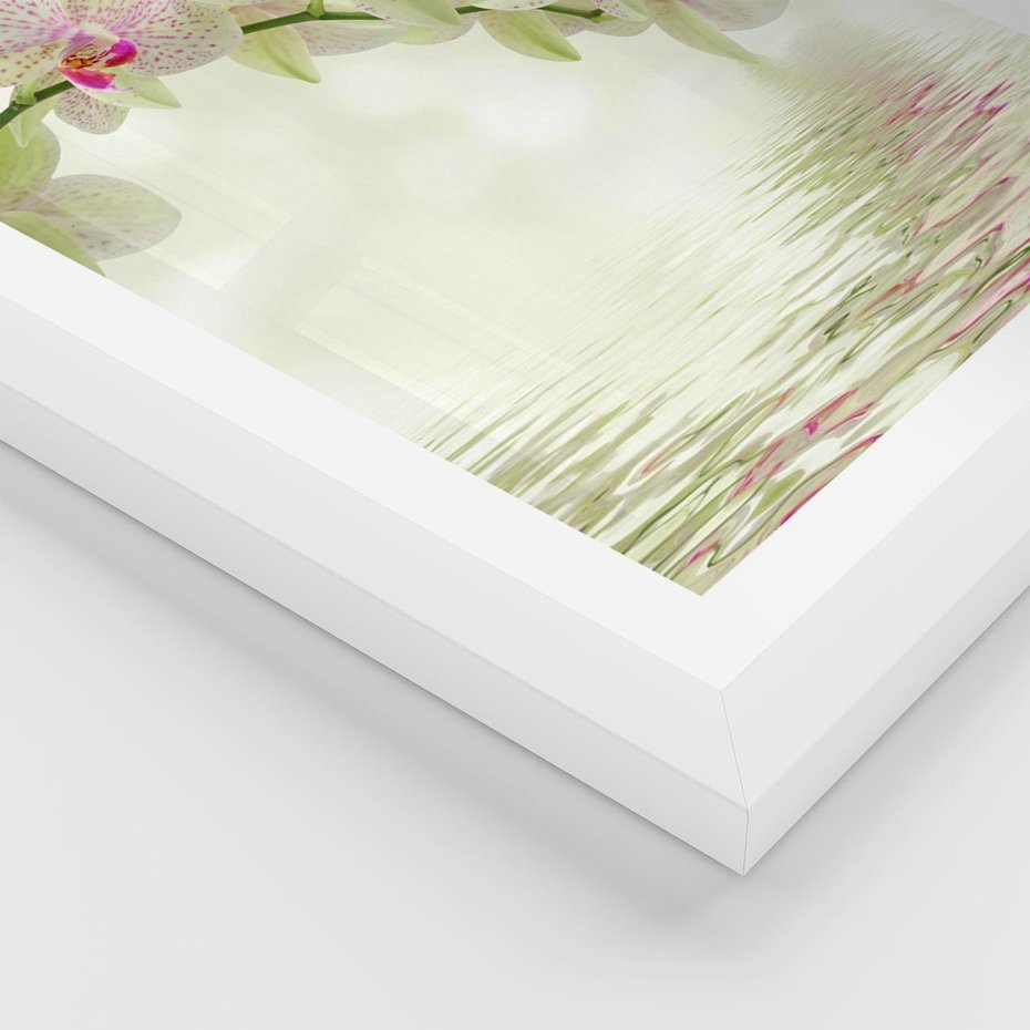Plakat w ramie 40x50 - Orchidea w Spa - orchidea, kwiaty - rama biała