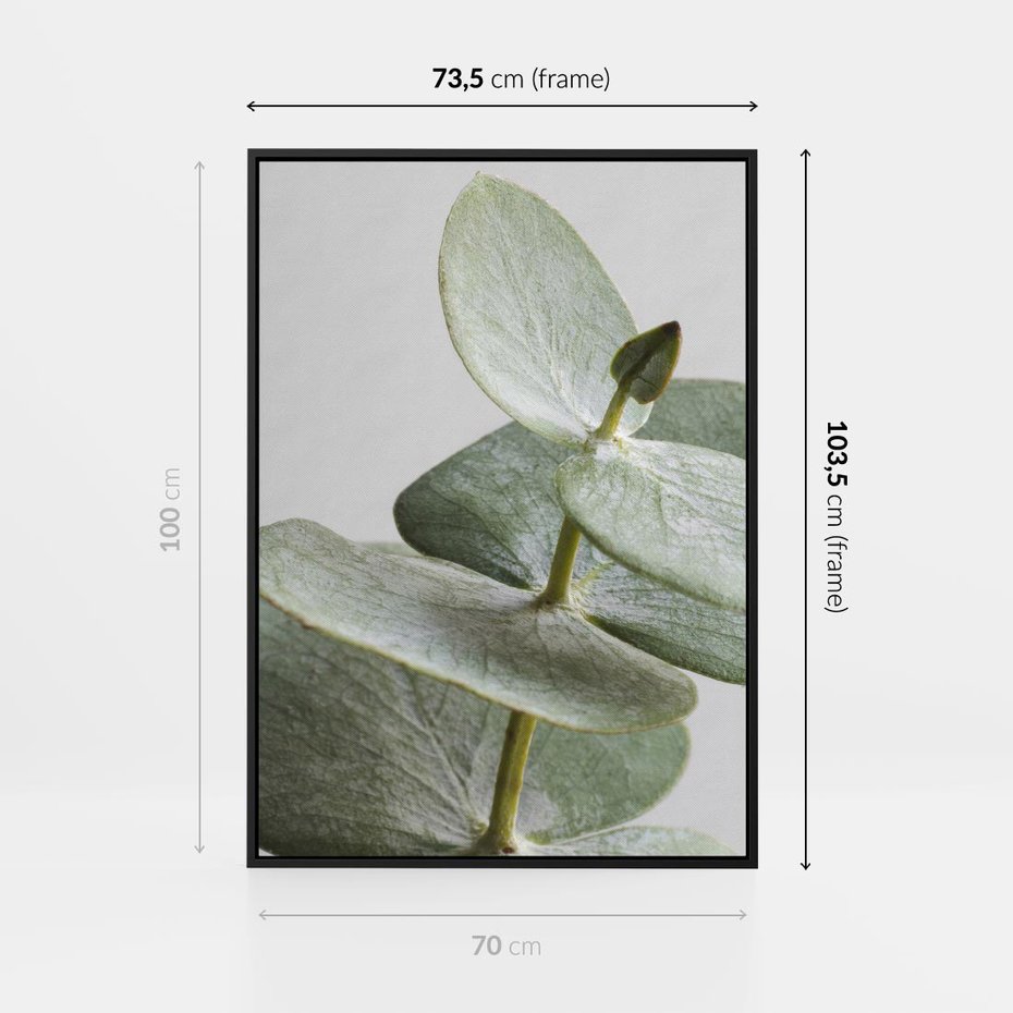 Obraz w ramie 70x100 - Eukaliptusowa zieleń - eukaliptus, zielone - rama czarna