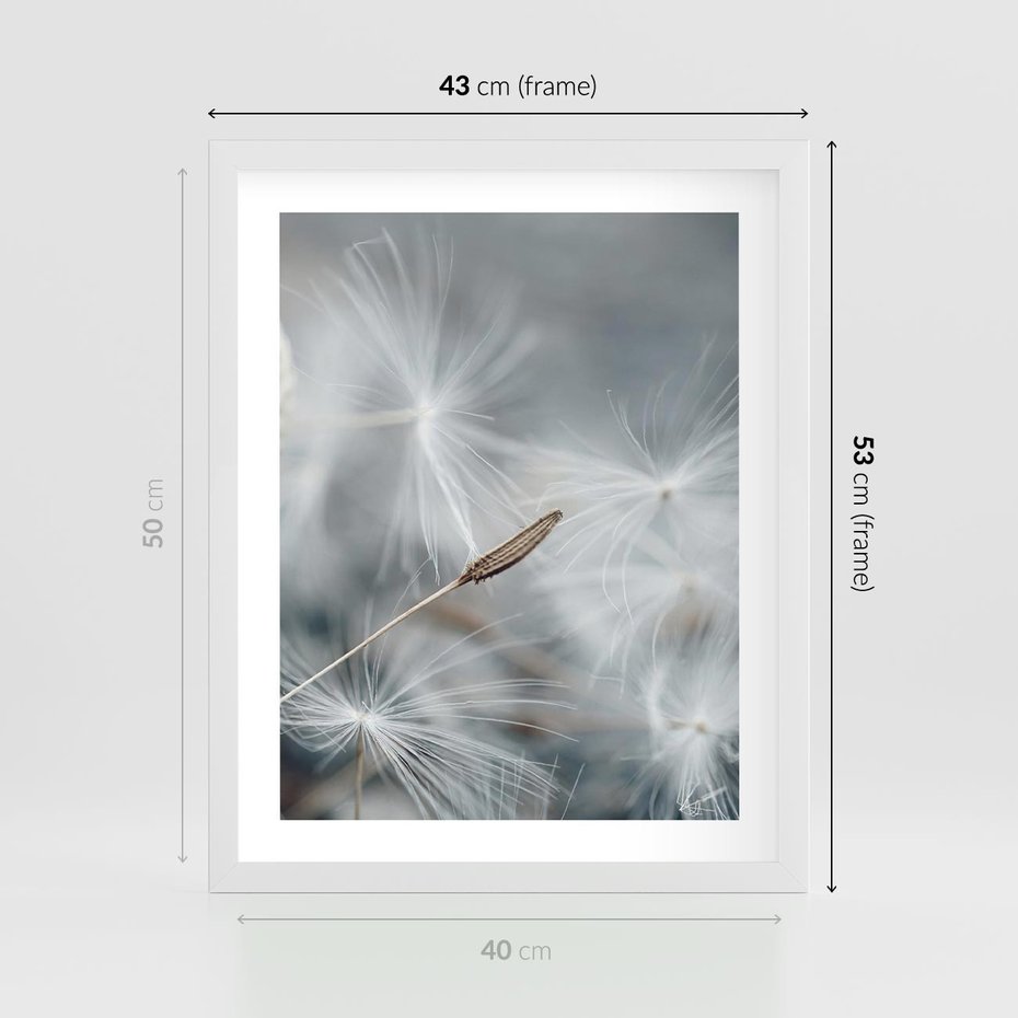 Plakat w ramie 40x50 - Piękno w Delikatności - dmuchawiec, makro zdjęcie - rama biała