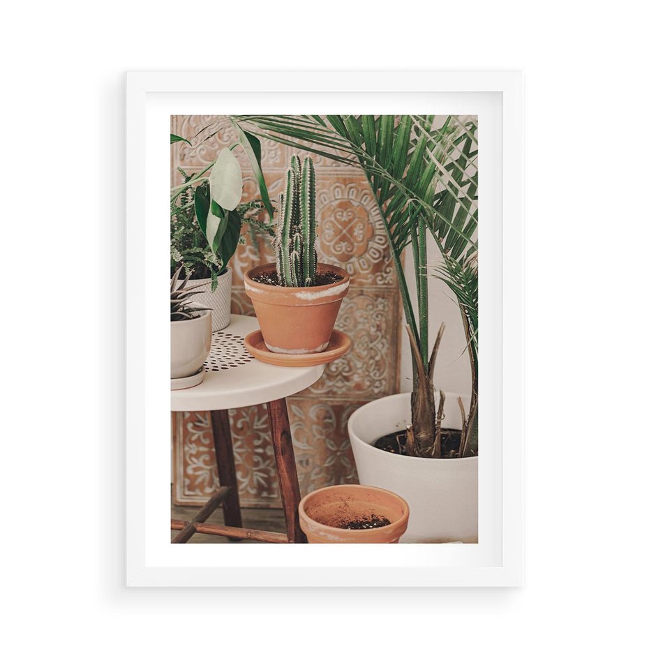 Plakat w ramie 50x70 - Boho Oaza: Kaktusy w Doniczkach - rośliny kaktusy w doniczkach, boho wnętrze - rama biała