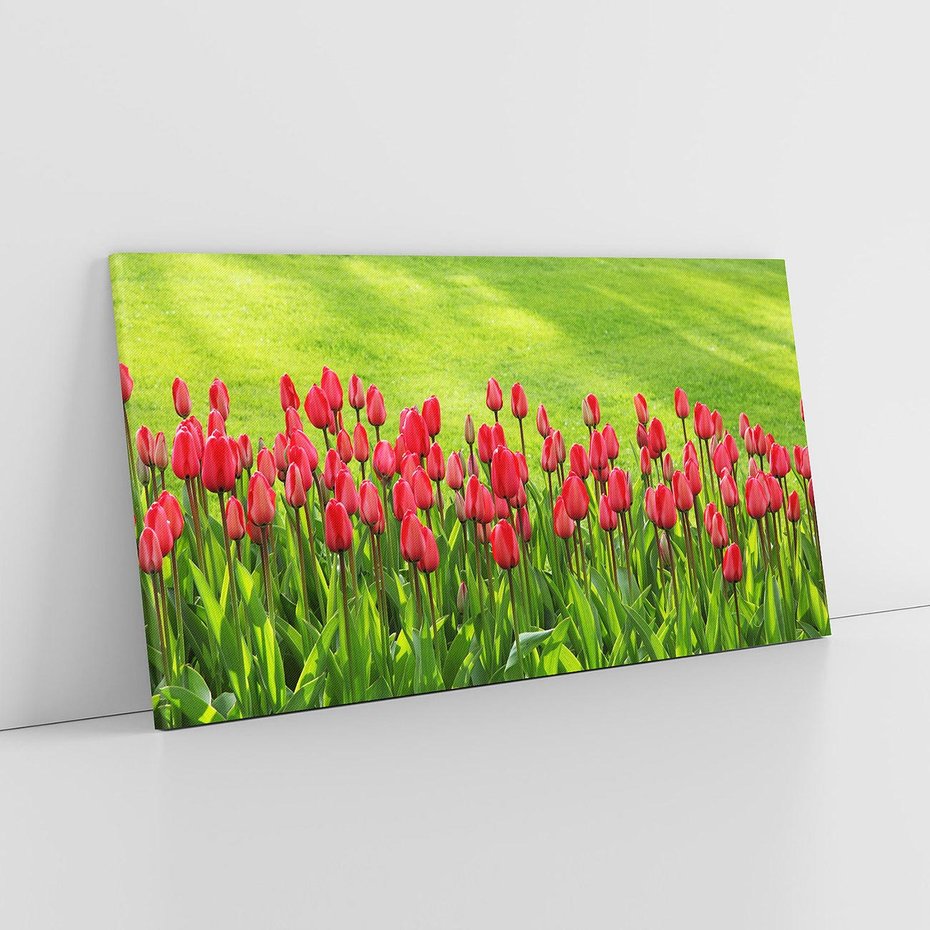 Obraz na płótnie 120x60 - Tulipanowy raj - kwiat, kwiaty