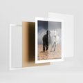 Plakat w ramie 40x50 - Siła koni w galopie - konie, galop - rama biała