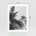 Plakat bez ramy 30x40 - Palmy w Monochromii - palmy, tropikalne palmy