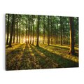 Obraz na płótnie 70x50 - Mistyfikujący urok leśnej głuszy - las, drzewa