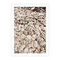 Plakat bez ramy 50x70 - Symfonia Natury - kompozycja z białych muszli