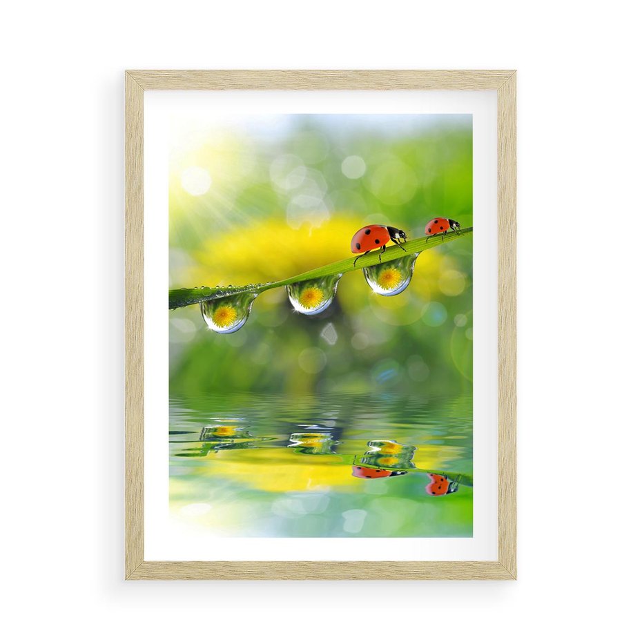 Plakat w ramie 50x70 - Deszczowa Biedronka - biedronka, deszcz - rama drewno