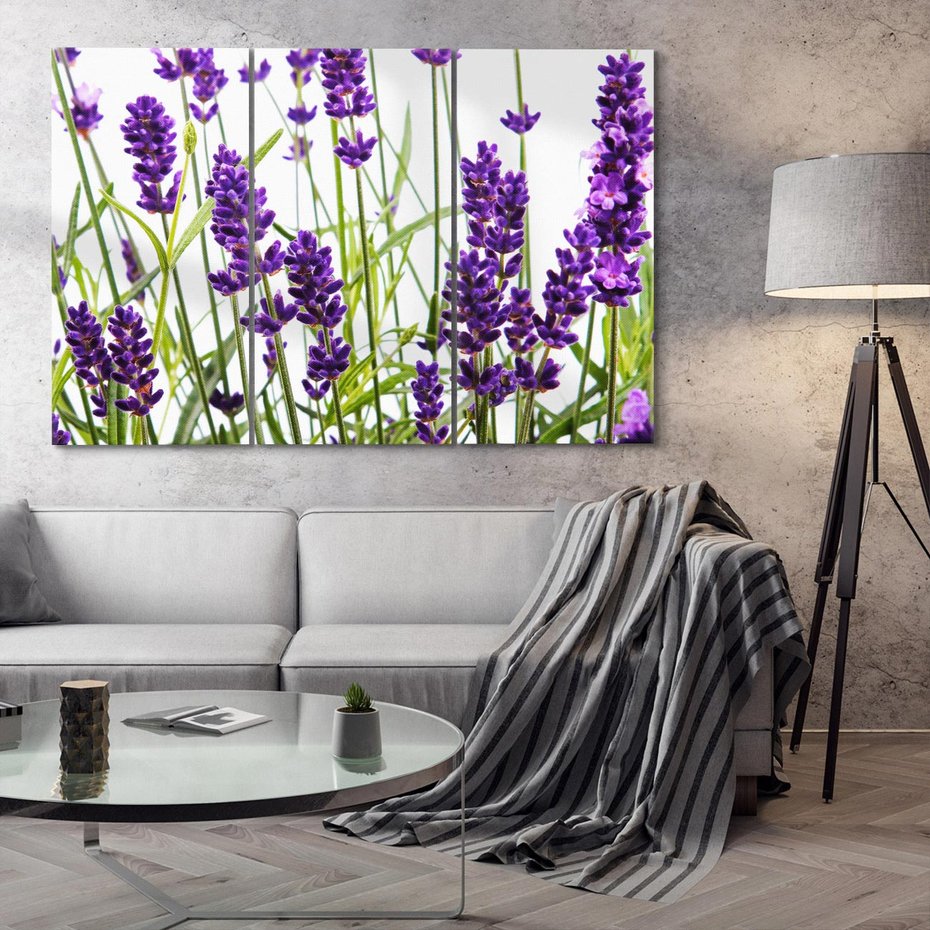 Obraz na płótnie 120x80 - Fioletowa harmonia lawendy - lawenda, fiolet