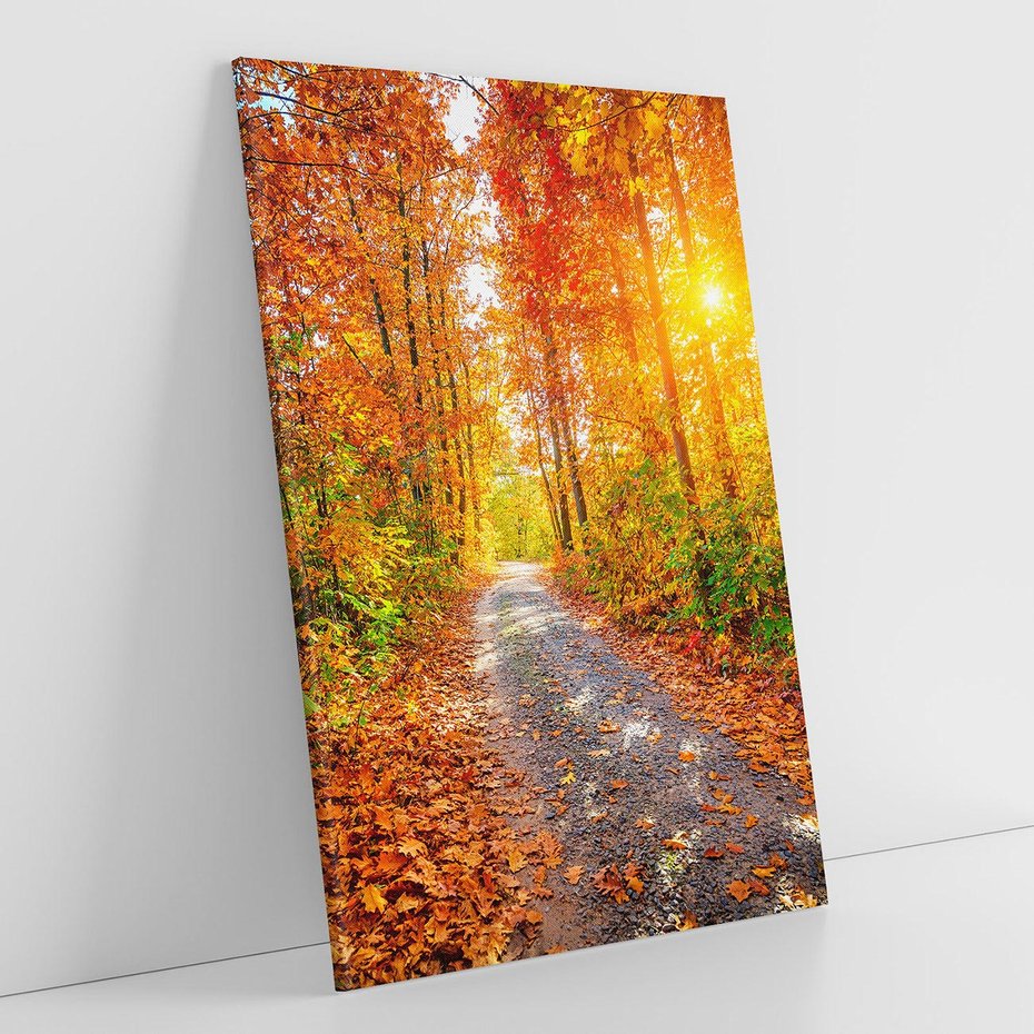 Obraz na płótnie 70x100 - Kolorowe drzewa na ścieżce jesieni - las, jesień