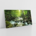 Obraz na płótnie 100x50 - Ukojenie strumienia: Spotkanie z naturą - strumyk, las