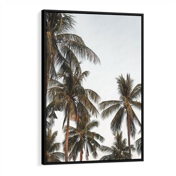 Obraz w ramie 50x70 - Palmy - tęsknota za Hawajami - palmy, Hawaje - rama czarna