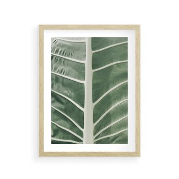 Plakat w ramie 30x40 - Zielone Wielkości: Zbliżenie Liścia - zbliżenie duz liść, jasna zieleń - rama drewno