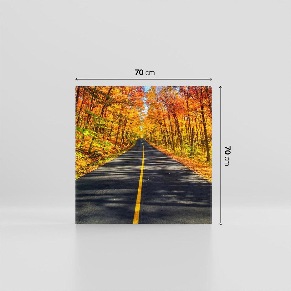 Obraz na płótnie 70x70 - Droga przez jesienny las - droga, las