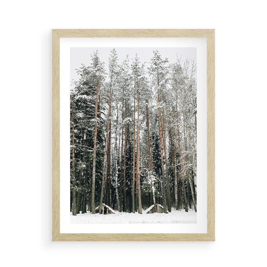 Plakat w ramie 50x70 - Sypiący Śnieg - las w zimie, drzewa pod śniegiem - rama drewno