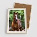 Plakat w ramie 50x70 - Portret Szlachetnego Konia - koń, portret - rama drewno