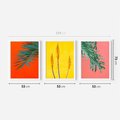 Zestaw obrazy w ramie 50x70 galeria - Rośliny, liście, kolorowe, energetyczne, tło - rama biała