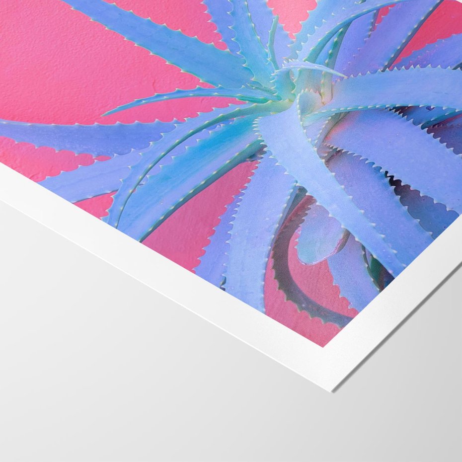 Plakat bez ramy 21x30 - Piękno Pustyni - kaktusy, liście