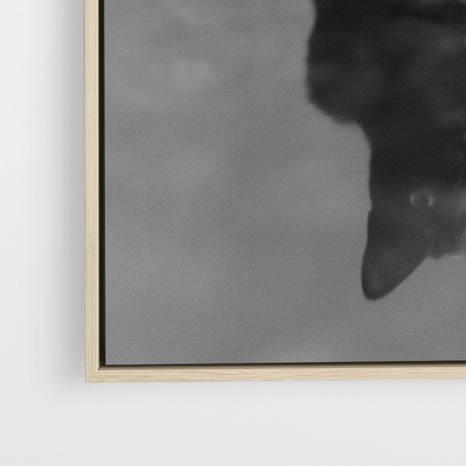 Obraz w ramie 80x120 - Kocie Oczy - kot, czarno białe zdjęcie - rama drewno