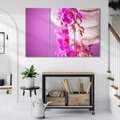 Obraz na płótnie 120x80 - Relaksująca orchidea w spa - spa, orchidea