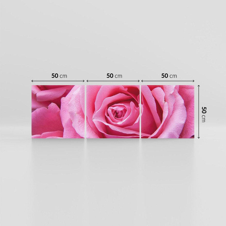 Obraz na płótnie 150x50 - Róża Wspaniałości - róża, kwiat