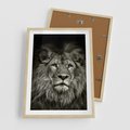 Plakat w ramie 50x70 - Moc lewego spojrzenia - lew, czarno - rama drewno