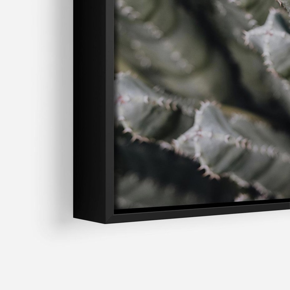 Obraz w ramie 50x50 - Boho kaktusy na pustyni - kaktusy, pustynia - rama czarna