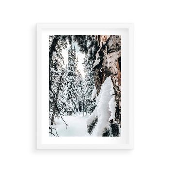 Plakat w ramie 40x50 - Drzewa pod Śniegiem - zima las, drzewa pod śniegiem - rama biała