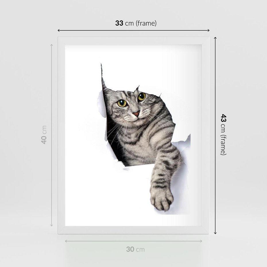 Plakat w ramie 30x40 - Tajemniczy kot i jego świat - kot, dziura - rama biała
