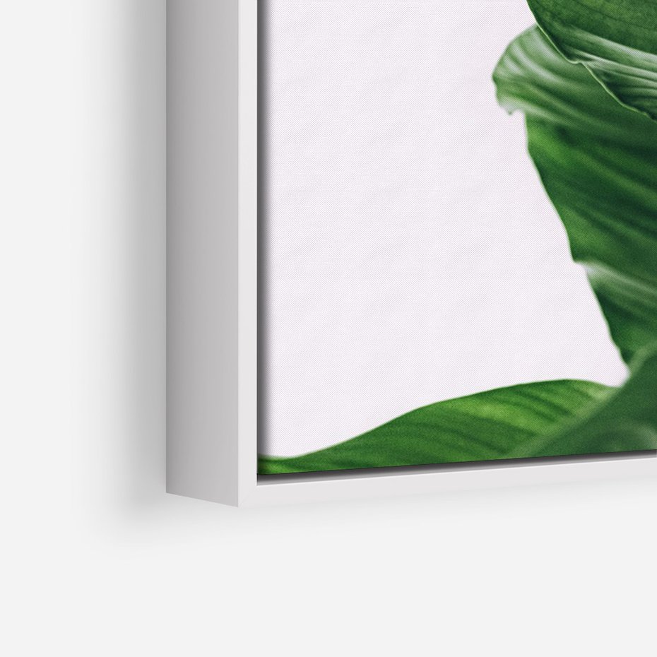 Obraz w ramie 80x120 - Zielone liście monstery - liście, monstera - rama biała