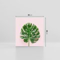 Obraz na płótnie 30x30 - Egzotyczna Roślinność - liście, monstera