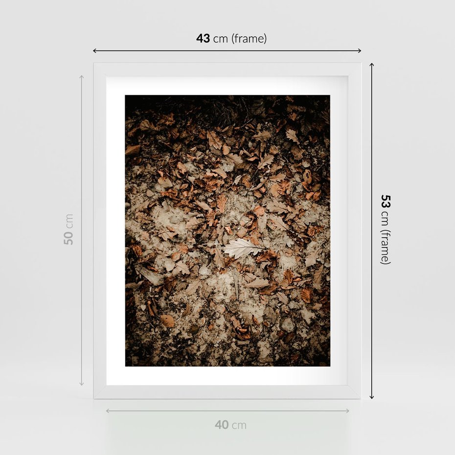 Plakat w ramie 40x50 - Suchość Liści w Brązowych Tonach - suche liście jesień brąz - rama biała