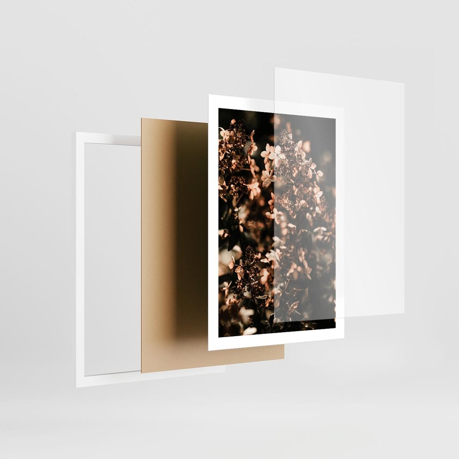 Plakat w ramie 50x70 - Sucha Kompozycja Kwiatów - suche kwiaty hortensji - rama biała