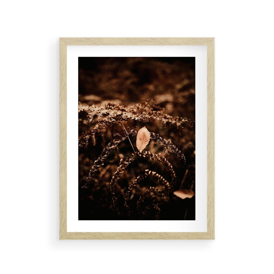 Plakat w ramie 30x40 - Gałęzie i Liść w Brązowej Tonacji - suche gałęzie, liść - rama drewno