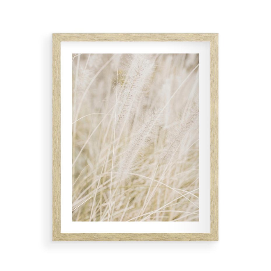 Plakat w ramie 40x50 - Białe Trawy Pampas - suche trawy, białe trawy - rama drewno