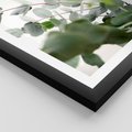 Plakat w ramie 30x40 - Zielony Świat Eukaliptusa - eukaliptus, fotografia - rama czarna